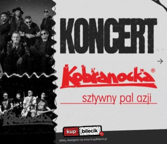 Bydgoszcz Wydarzenie Koncert Po raz pierwszy na plenerowej scenie Lloyda wystąpi Sztywny Pal Azji i Kobranocka!