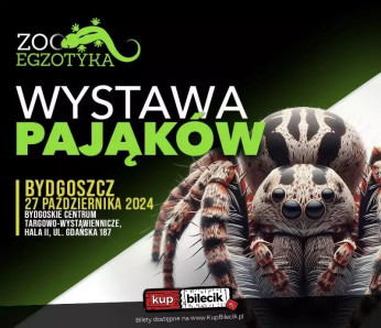 Bydgoszcz Wydarzenie Inne wydarzenie Wystawa pająków - ZooEgzotyka