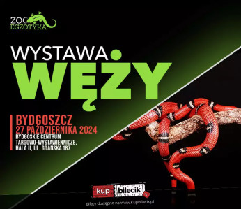 Bydgoszcz Wydarzenie Inne wydarzenie Wystawa węży - ZooEgzotyka