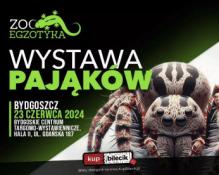 Bydgoszcz Wydarzenie Inne wydarzenie Wystawa Pająków!