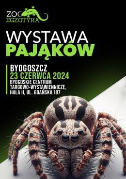 Bydgoszcz Wydarzenie Targi Wystawa pająków