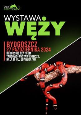 Bydgoszcz Wydarzenie Wystawa Wystawa węży - Bydgoszcz